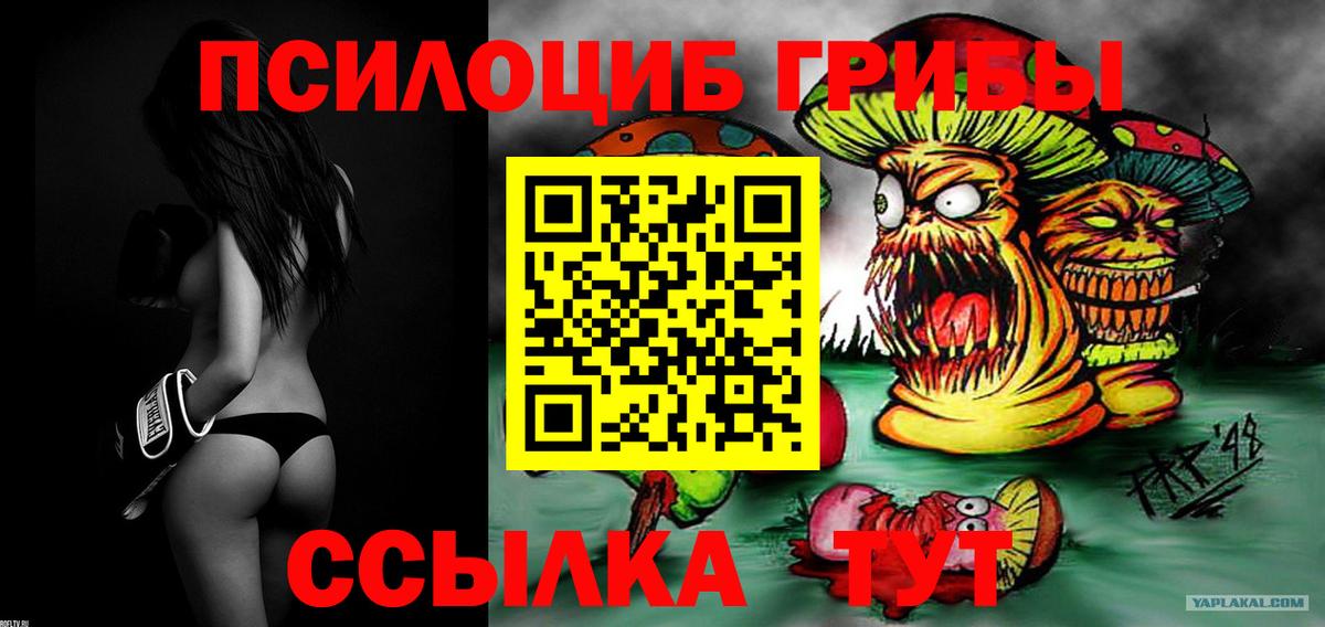 Псилоцибиновые грибы Psilocybe  где продают наркотики  Протвино  Вход с VPN 